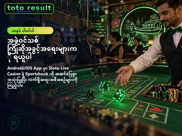 ပင်မစာမျက်နှာ ပုံ ၁